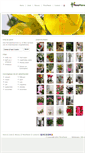 Mobile Screenshot of floraplanet.info